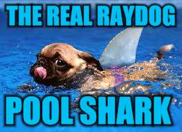 THE REAL RAYDOG POOL SHARK | made w/ Imgflip meme maker