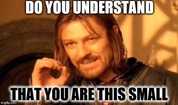 One Does Not Simply | DO YOU UNDERSTAND; THAT YOU ARE THIS SMALL | image tagged in memes,one does not simply | made w/ Imgflip meme maker