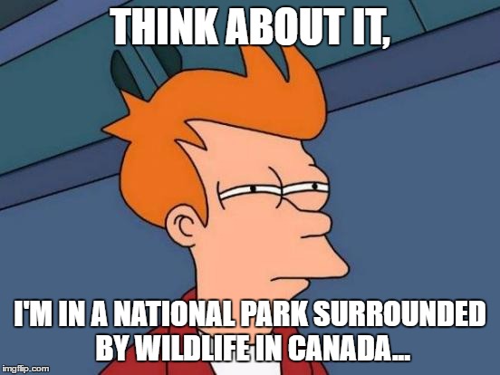 Futurama Fry Meme | THINK ABOUT IT, I'M IN A NATIONAL PARK SURROUNDED BY WILDLIFE IN CANADA... | image tagged in memes,futurama fry | made w/ Imgflip meme maker