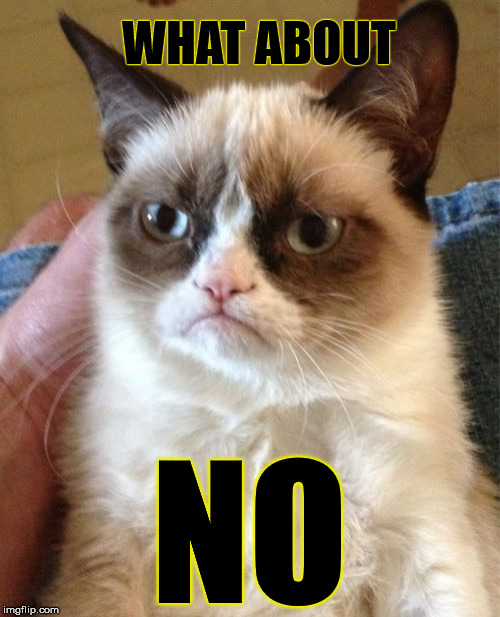 Grumpy Cat Meme | WHAT ABOUT NO | image tagged in memes,grumpy cat | made w/ Imgflip meme maker