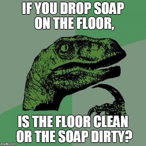 Philosoraptor | IF YOU DROP SOAP ON THE FLOOR, IS THE FLOOR CLEAN OR THE SOAP DIRTY? | image tagged in memes,philosoraptor | made w/ Imgflip meme maker