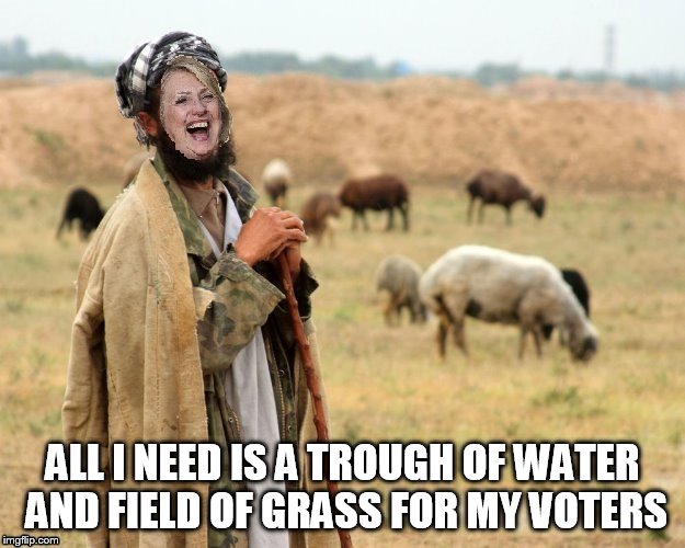 Hillary Sheep Herder | ALL I NEED IS A TROUGH OF WATER AND FIELD OF GRASS FOR MY VOTERS | image tagged in hillary sheep herder | made w/ Imgflip meme maker