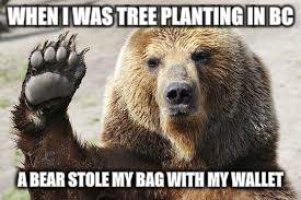 WHEN I WAS TREE PLANTING IN BC A BEAR STOLE MY BAG WITH MY WALLET | made w/ Imgflip meme maker