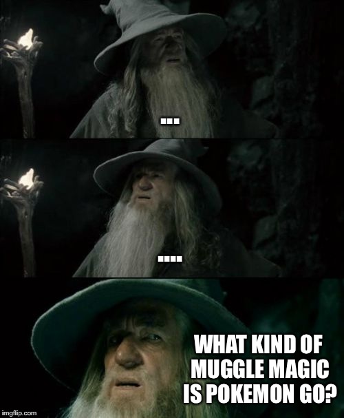 Confused Gandalf Meme | ... .... WHAT KIND OF MUGGLE MAGIC IS POKEMON GO? | image tagged in memes,confused gandalf | made w/ Imgflip meme maker