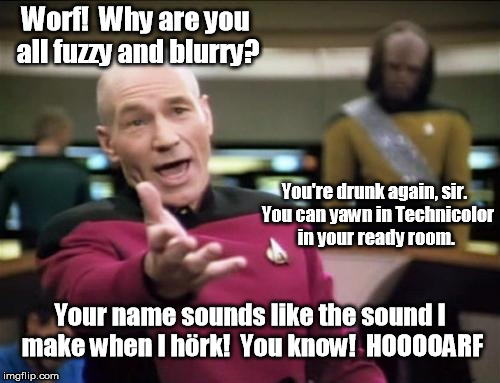 I'm stoned; this is hilarious to me. | Worf!  Why are you all fuzzy and blurry? You're drunk again, sir.  You can yawn in Technicolor in your ready room. Your name sounds like the sound I make when I hörk!  You know!  HOOOOARF | image tagged in piccard,memes | made w/ Imgflip meme maker
