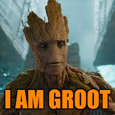I AM GROOT | made w/ Imgflip meme maker