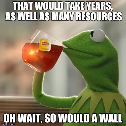 But That's None Of My Business Meme | THAT WOULD TAKE YEARS, AS WELL AS MANY RESOURCES OH WAIT, SO WOULD A WALL | image tagged in memes,but thats none of my business,kermit the frog | made w/ Imgflip meme maker