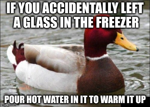 Malicious Advice Mallard Meme | IF YOU ACCIDENTALLY LEFT A GLASS IN THE FREEZER; POUR HOT WATER IN IT TO WARM IT UP | image tagged in memes,malicious advice mallard,life hack | made w/ Imgflip meme maker