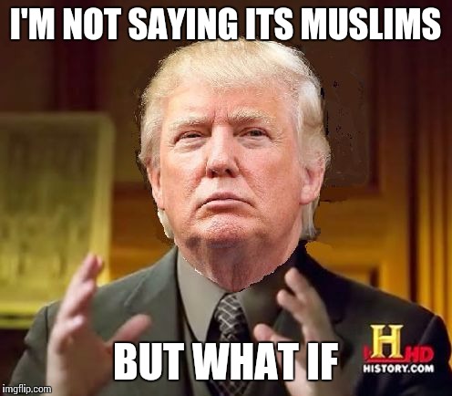Trump Aliens | I'M NOT SAYING ITS MUSLIMS; BUT WHAT IF | image tagged in trump aliens | made w/ Imgflip meme maker