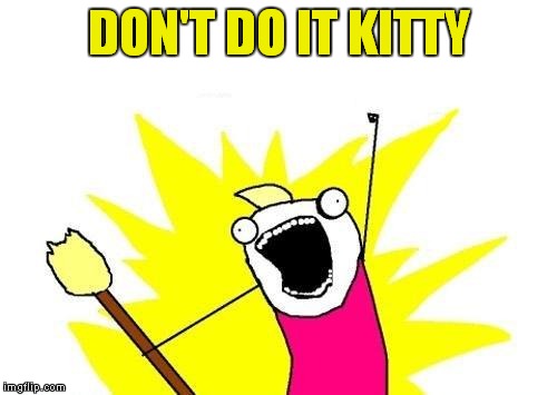 X All The Y Meme | DON'T DO IT KITTY | image tagged in memes,x all the y | made w/ Imgflip meme maker