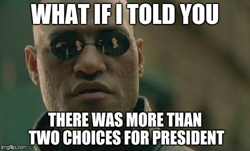 Matrix Morpheus | WHAT IF I TOLD YOU; THERE WAS MORE THAN TWO CHOICES FOR PRESIDENT | image tagged in memes,matrix morpheus | made w/ Imgflip meme maker