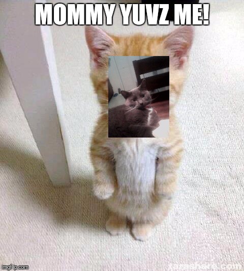 Cute Cat Meme | MOMMY YUVZ ME! | image tagged in memes,cute cat | made w/ Imgflip meme maker