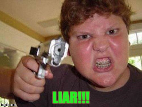 ... | LIAR!!! | image tagged in minecrafter | made w/ Imgflip meme maker