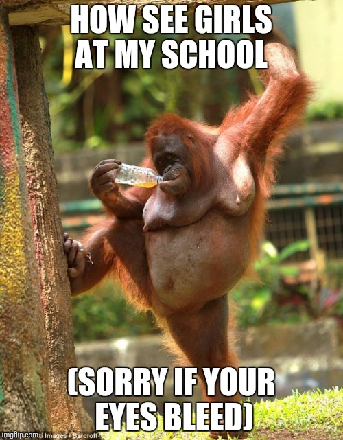 sexy orangutan | HOW SEE GIRLS AT MY SCHOOL; (SORRY IF YOUR EYES BLEED) | image tagged in sexy orangutan | made w/ Imgflip meme maker