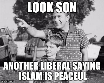 Look Son | LOOK SON; ANOTHER LIBERAL SAYING ISLAM IS PEACEUL | image tagged in memes,look son | made w/ Imgflip meme maker