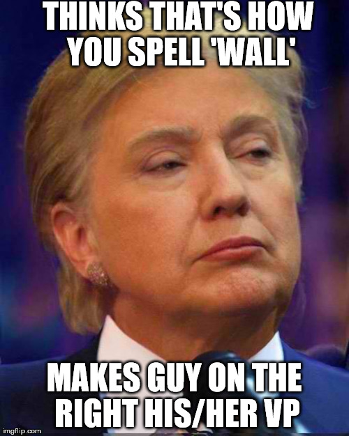Clump | THINKS THAT'S HOW YOU SPELL 'WALL' MAKES GUY ON THE RIGHT HIS/HER VP | image tagged in clump | made w/ Imgflip meme maker