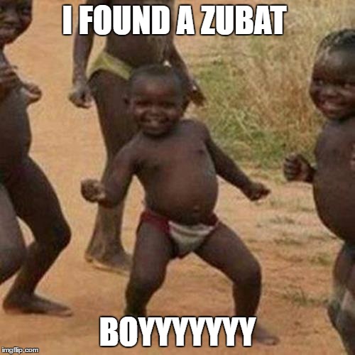 Third World Success Kid | I FOUND A ZUBAT; BOYYYYYYY | image tagged in memes,third world success kid | made w/ Imgflip meme maker