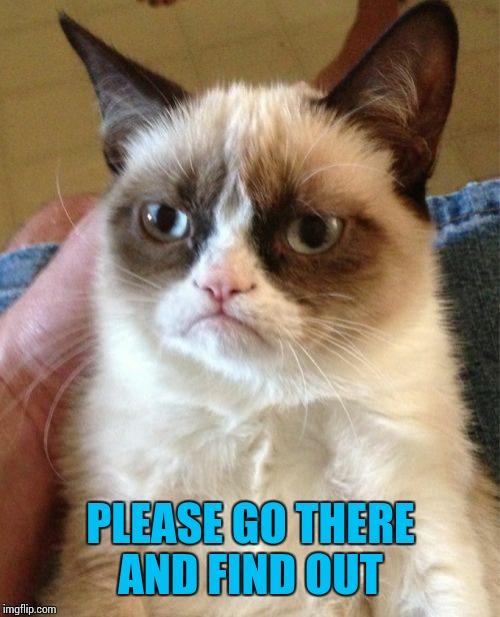 Grumpy Cat Meme | PLEASE GO THERE AND FIND OUT | image tagged in memes,grumpy cat | made w/ Imgflip meme maker