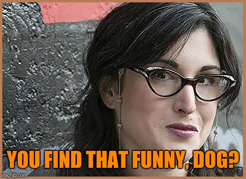 feminist Zeisler | YOU FIND THAT FUNNY, DOG? | image tagged in feminist zeisler | made w/ Imgflip meme maker