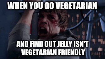 I swear, as soon as you go vegetarian, you find out everything you like has a dead animal in it | WHEN YOU GO VEGETARIAN; AND FIND OUT JELLY ISN'T VEGETARIAN FRIENDLY | image tagged in noooooooo,why,luke skywalker,vegetarian | made w/ Imgflip meme maker