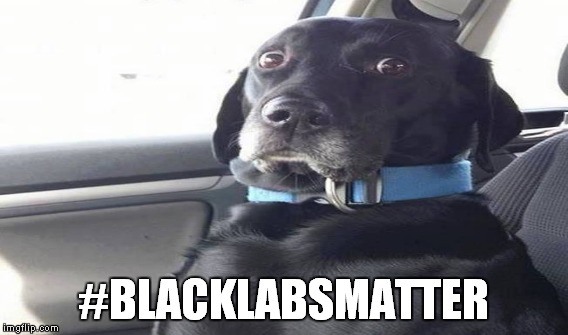 #BLACKLABSMATTER | made w/ Imgflip meme maker