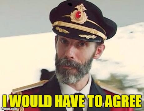 Captain Obvious | I WOULD HAVE TO AGREE | image tagged in captain obvious | made w/ Imgflip meme maker