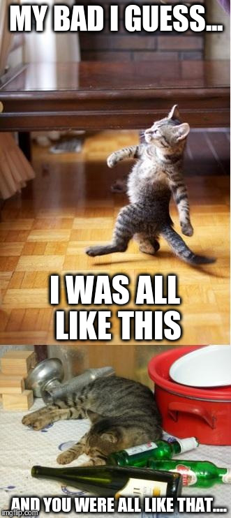The feeling you get, when you come home after a great night, go to your favorite online forum to chat, and nobody is still up... |  MY BAD I GUESS... I WAS ALL LIKE THIS; AND YOU WERE ALL LIKE THAT.... | image tagged in party cat | made w/ Imgflip meme maker