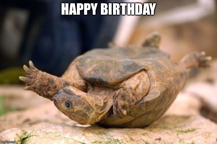 HAPPY BIRTHDAY | image tagged in happy birthday | made w/ Imgflip meme maker