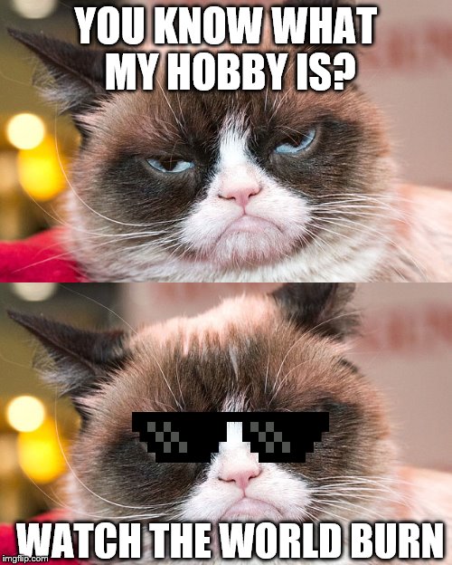 Grumpy cat just wants to see the world burn... | YOU KNOW WHAT MY HOBBY IS? WATCH THE WORLD BURN | image tagged in grumpy cat,deal with it | made w/ Imgflip meme maker