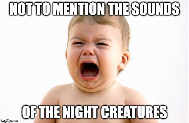 NOT TO MENTION THE SOUNDS OF THE NIGHT CREATURES | made w/ Imgflip meme maker