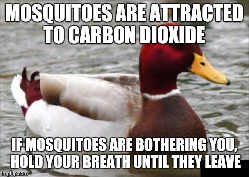 Malicious Advice Mallard | MOSQUITOES ARE ATTRACTED TO CARBON DIOXIDE; IF MOSQUITOES ARE BOTHERING YOU, HOLD YOUR BREATH UNTIL THEY LEAVE | image tagged in memes,malicious advice mallard | made w/ Imgflip meme maker