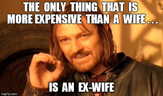 One Does Not Simply Meme | THE  ONLY  THING  THAT  IS  MORE
EXPENSIVE  THAN  A  WIFE . . . IS  AN  EX-WIFE | image tagged in memes,one does not simply | made w/ Imgflip meme maker