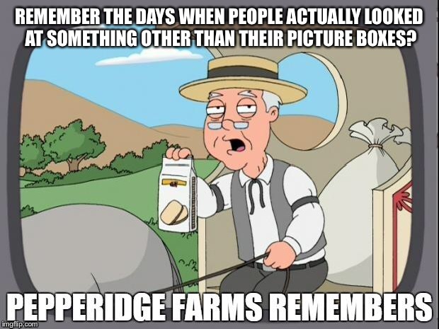 PEPPERIDGE FARMS REMEMBERS | REMEMBER THE DAYS WHEN PEOPLE ACTUALLY LOOKED AT SOMETHING OTHER THAN THEIR PICTURE BOXES? | image tagged in pepperidge farms remembers | made w/ Imgflip meme maker