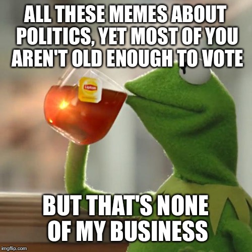 But That's None Of My Business Meme |  ALL THESE MEMES ABOUT POLITICS, YET MOST OF YOU AREN'T OLD ENOUGH TO VOTE; BUT THAT'S NONE OF MY BUSINESS | image tagged in memes,but thats none of my business,kermit the frog | made w/ Imgflip meme maker