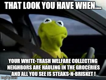 Kermit | THAT LOOK YOU HAVE WHEN.... YOUR WHITE-TRASH WELFARE COLLECTING NEIGHBORS ARE HAULING IN THE GROCERIES AND ALL YOU SEE IS STEAKS-N-BRISKET ! | image tagged in kermit | made w/ Imgflip meme maker