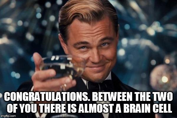 Leonardo Dicaprio Cheers Meme | CONGRATULATIONS. BETWEEN THE TWO OF YOU THERE IS ALMOST A BRAIN CELL | image tagged in memes,leonardo dicaprio cheers | made w/ Imgflip meme maker