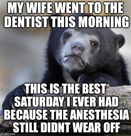Confession Bear | MY WIFE WENT TO THE DENTIST THIS MORNING; THIS IS THE BEST SATURDAY I EVER HAD BECAUSE THE ANESTHESIA STILL DIDNT WEAR OFF | image tagged in memes,confession bear | made w/ Imgflip meme maker