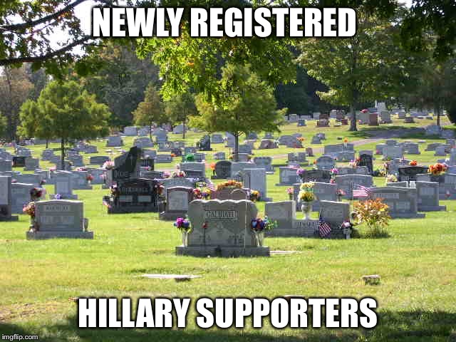 cemetery | NEWLY REGISTERED; HILLARY SUPPORTERS | image tagged in cemetery | made w/ Imgflip meme maker