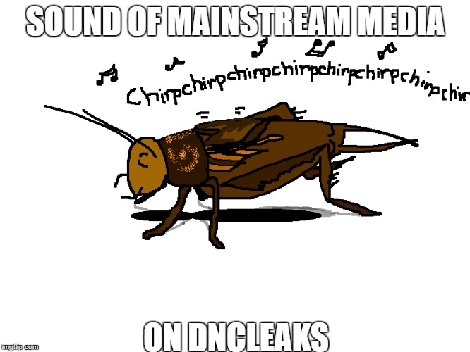 Summer of our dis-content | SOUND OF MAINSTREAM MEDIA; ON DNCLEAKS | image tagged in wikileaks,dncleaks,msm,dnc,hillary clinton | made w/ Imgflip meme maker
