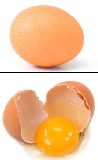 High Quality Eggs Blank Meme Template