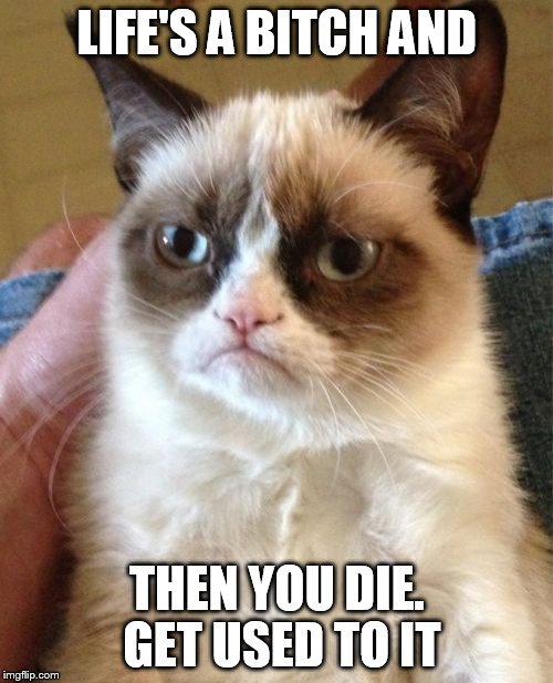 Grumpy Cat Meme | LIFE'S A B**CH AND THEN YOU DIE. GET USED TO IT | image tagged in memes,grumpy cat | made w/ Imgflip meme maker