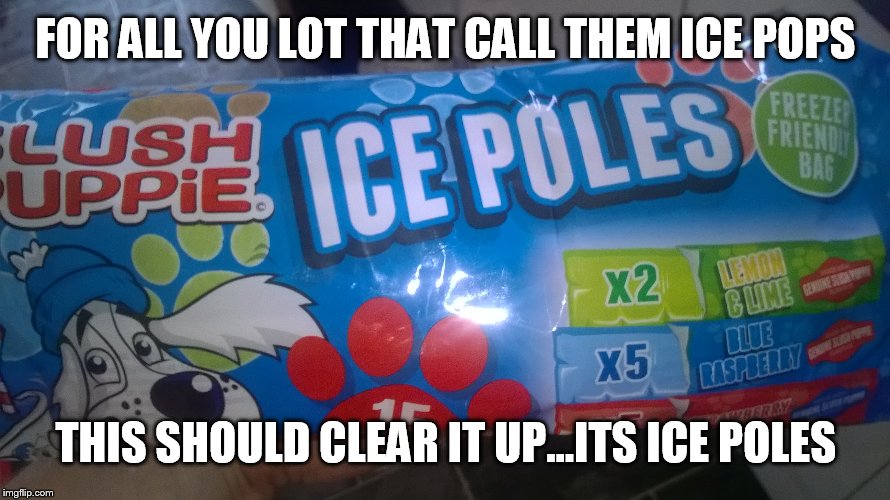 Ice pole | FOR ALL YOU LOT THAT CALL THEM ICE POPS; THIS SHOULD CLEAR IT UP...ITS ICE POLES | image tagged in ice pole ice pop | made w/ Imgflip meme maker