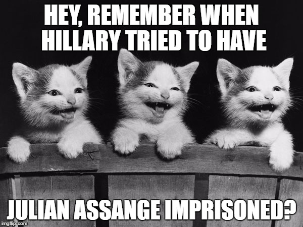 Karma Kitties | HEY, REMEMBER WHEN HILLARY TRIED TO HAVE; JULIAN ASSANGE IMPRISONED? | image tagged in julian assange,hillary clinton,wikileaks,dncleaks,free speech | made w/ Imgflip meme maker