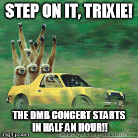 STEP ON IT, TRIXIE! DMB STARTS IN HALF AN HOUR!!! | STEP ON IT, TRIXIE! THE DMB CONCERT STARTS IN HALF AN HOUR!! | image tagged in dmb,dave matthews,monkeys,concert road trip | made w/ Imgflip meme maker