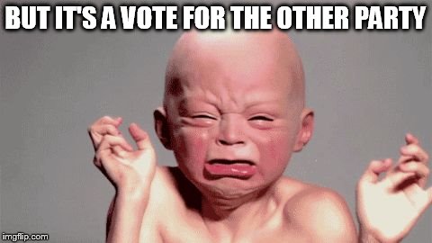 baby with quotation hands | BUT IT'S A VOTE FOR THE OTHER PARTY | image tagged in baby with quotation hands | made w/ Imgflip meme maker