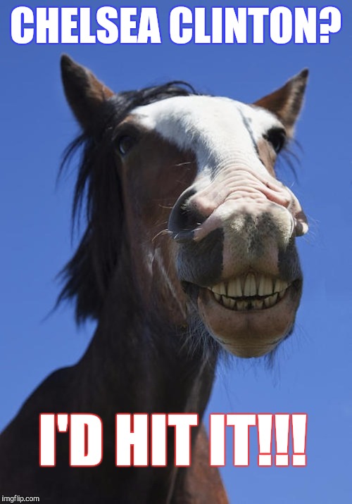 Horse face. | CHELSEA CLINTON? I'D HIT IT!!! | image tagged in chelsea clinton,horse face,hit it,meme | made w/ Imgflip meme maker