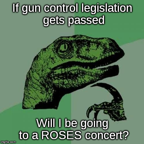I used to go to Guns n Roses Concerts... | If gun control legislation gets passed; Will I be going to a ROSES concert? | image tagged in memes,philosoraptor,concert,guns n roses,gun control | made w/ Imgflip meme maker