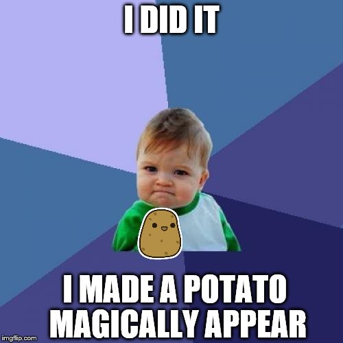 magic potato | I DID IT; I MADE A POTATO MAGICALLY APPEAR | image tagged in success kid,potato | made w/ Imgflip meme maker