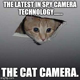 Ceiling Cat | THE LATEST IN SPY CAMERA TECHNOLOGY....... THE CAT CAMERA. | image tagged in memes,ceiling cat | made w/ Imgflip meme maker