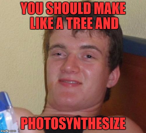 close.. but not quite | YOU SHOULD MAKE LIKE A TREE AND; PHOTOSYNTHESIZE | image tagged in memes,10 guy | made w/ Imgflip meme maker